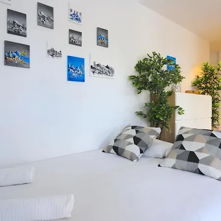 Apartment Oasis